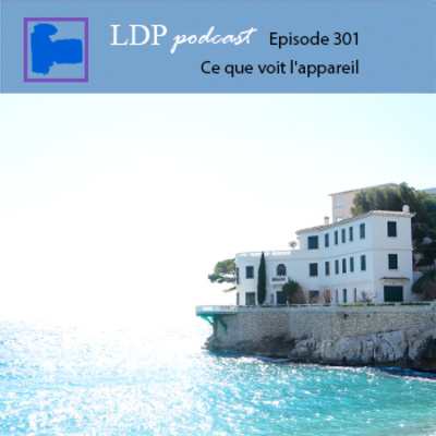 301 Ce que voit l'appareil