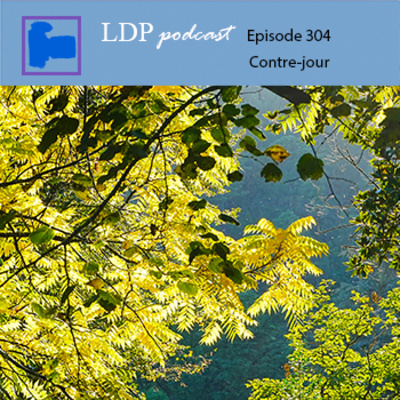 304 Contre-jour