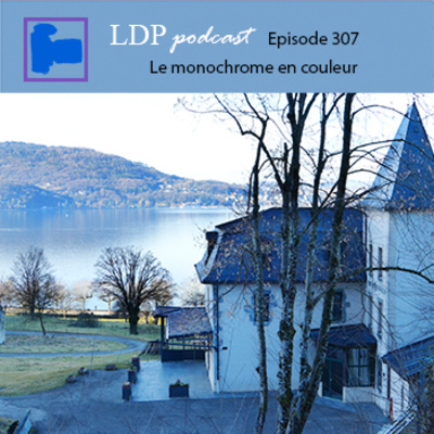 307 Le monochrome en couleur