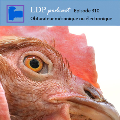 310 L'obturateur mécanique et l'obturateur électronique