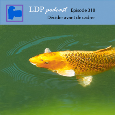 318 Décider avant de cadrer