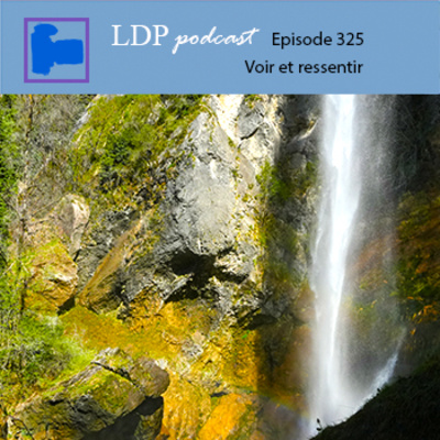 325	 Voir et ressentir