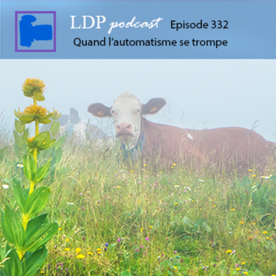 332 Quand l'automatisme se trompe