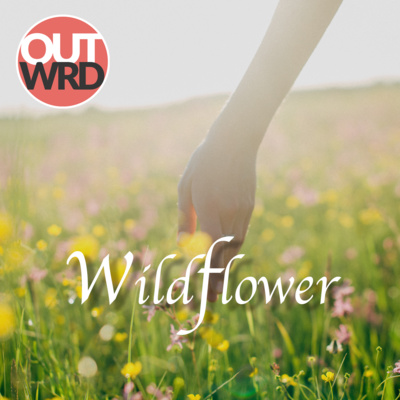 Wildflower | Family Drama