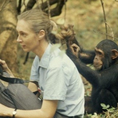 Jane Goodall