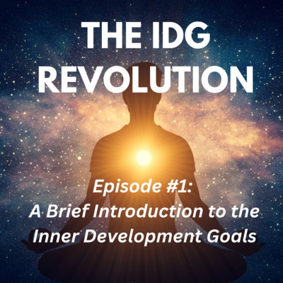 Episode #1: A Brief introduction to the Inner Development Goals