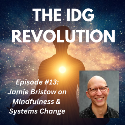 Episode 13: Jamie Bristow on Mindfulness and Systems Change
