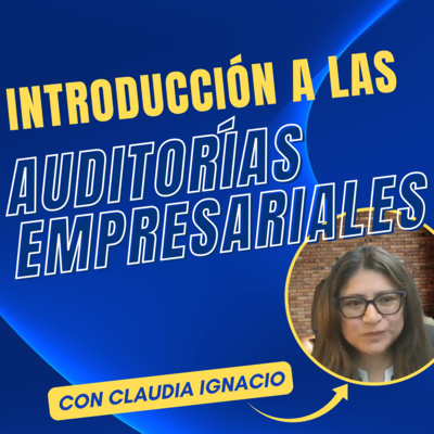 Introducción a las Auditorías Empresariales