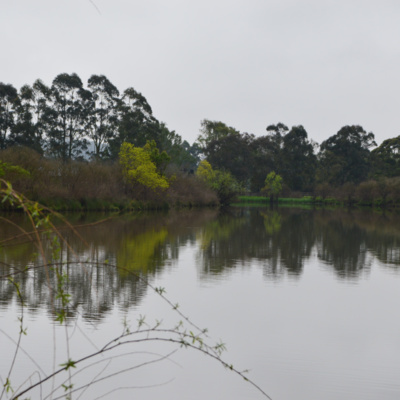 PUGHS LAGOON AUDIO WALK : 11 Stories from the RIver Dyarubbin