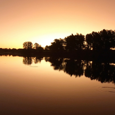 HOWE AND DEERUBBIN PARKS AUDIO WALK : 11 Stories from the River Dyarubbin