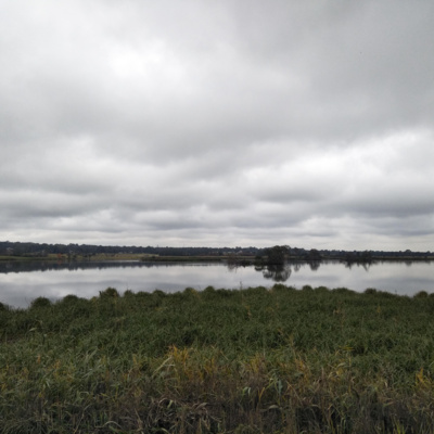 PITT TOWN LAGOON AUDIO WALK : 11 Stories from the RIver Dyarubbin
