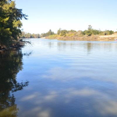 CATTAI AUDIO WALK : 11 Stories from the River Dyarubbin