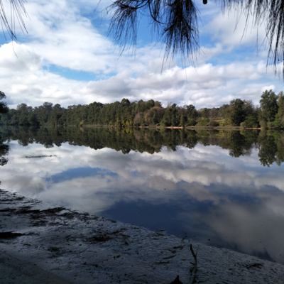 SWALLOW ROCK REACH AUDIO WALK : 11 Stories from the River Dyarubbin
