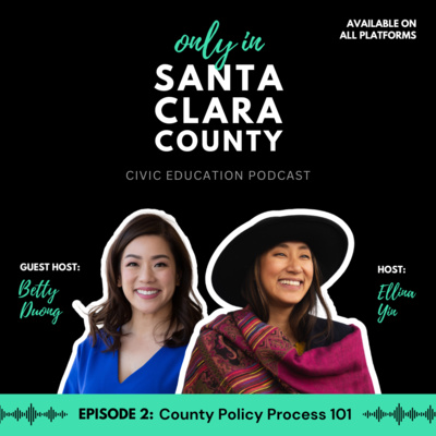 Episode 2: County Policy Process 101