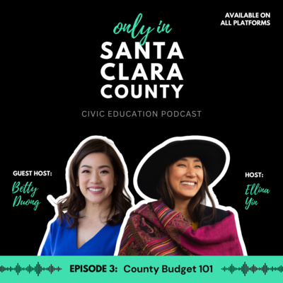 Episode 3: County Budget 101