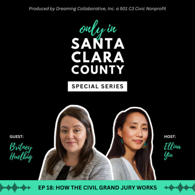 Episodes 18: How the Civil Grand Jury works feat. Britney Huelbig