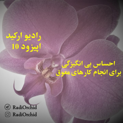 اپیزود 10: احساس بی انگیزگی برای انجام کارهای معوق