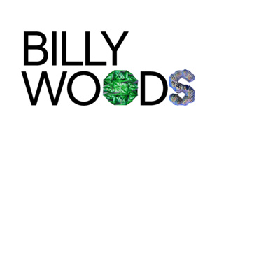 Prague Sounds Spotlight ✦ billy woods