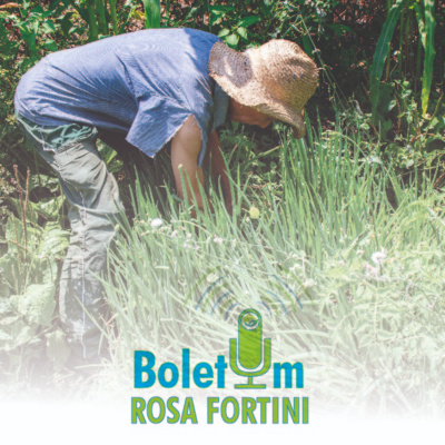  🌱 Agricultores familiares já podem realizar cadastro no CAF