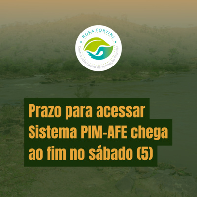 Prazo para acessar Sistema PIM-AFE chega ao fim no sábado (5)