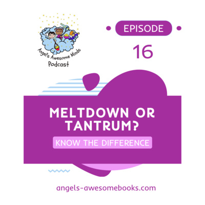 EPS 16 - Autism Meltdown vs Tantrum: What Every Parent Needs to Understand