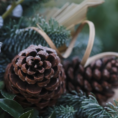  Advent je obdobje miru in zaključevanja