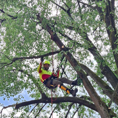 Gost v oddaji je magister kmetijstva, arborist Tomaž Garmuš