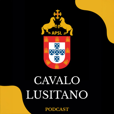 João Pedro Rodrigues |CAVALO LUSITANO #1