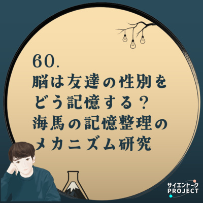 60. 脳は友達の性別をどう記憶する？海馬の記憶整理のメカニズム研究