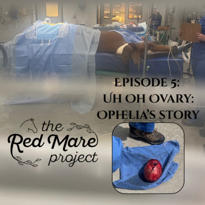 E5: Uh oh ovary: Ophelia's story