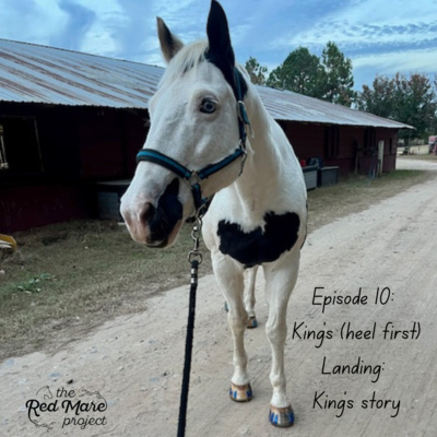 E10: King's (heel first) landing: King's story