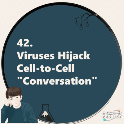 42. Viruses Hijack Cell-to-Cell "Conversation"