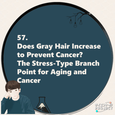57. Does Gray Hair Increase to Prevent Cancer? The Stress-Type Branch Point for Aging and Cancer