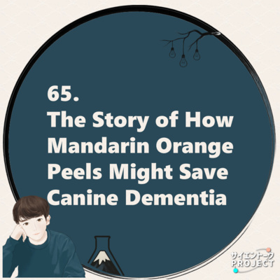 65. The Story of How Mandarin Orange Peels Might Save Canine Dementia