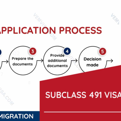 Visa 491