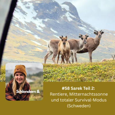 #58 Sarek Teil 2: Rentiere, Mitternachtssonne und totaler Survival-Modus (Schweden)