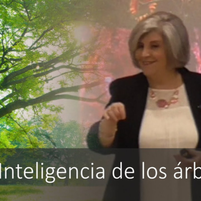 La Inteligencia de los Árboles. Escuela de Filosofia Nueva Acrópolis