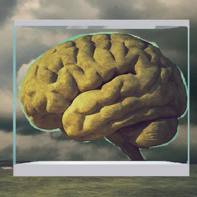The Brainstorm