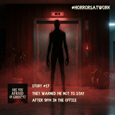 STORY #17 - They warned me not to stay after 9pm in the office