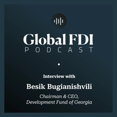 Georgia: Interview with Besik Bugianishvili, Chairman and CEO, Development Fund of Georgia