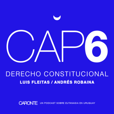 06 Derecho constitucional: Luis Fleitas / Andrés Robaina