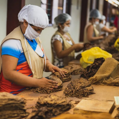 Private Label Manufacturing: A Deep Dive into Building Your Brand EP15