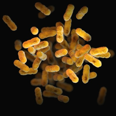 Probiotic Supplements Strains, Dosing, and Quality Guide EP27