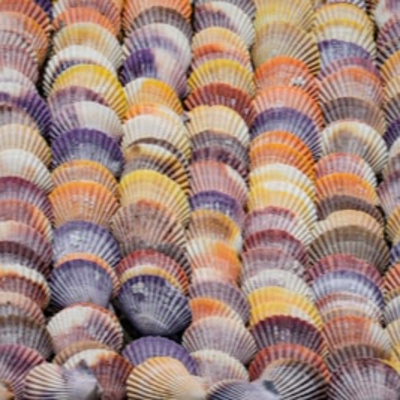 From Shellfish to Lab-Grown Glucosamine EP135