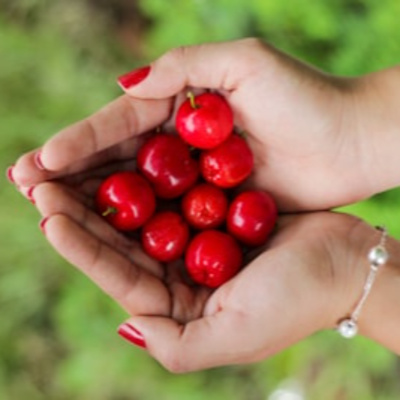 The Truth Behind Organic Acerola Labels EP143