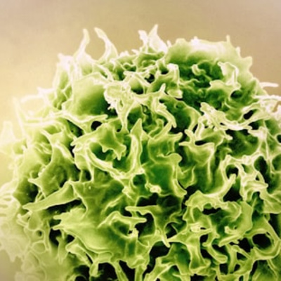 What Actually Works For Your Immune System EP145