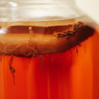 Engineering Probiotics that Survive the Stomach EP162
