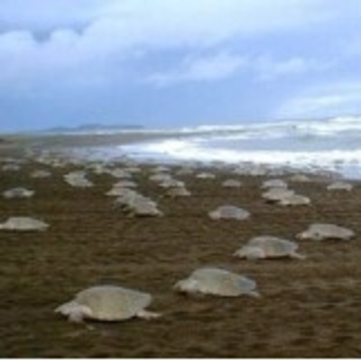 The FiremanRich Audio/Podcast: Morning Coffee 🌄☕ 10.28.2025🎙️🔊 by FiremanRich Audio / Podcast