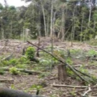 The FiremanRich Audio/Podcast: Morning Coffee 🌄☕ 11.27.2025🎙️🔊 by FiremanRich Audio / Podcast