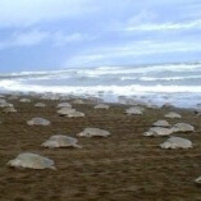 The FiremanRich Audio/Podcast: Morning Coffee 🌄☕ 12.11.2025🎙️🔊 by FiremanRich Audio / Podcast